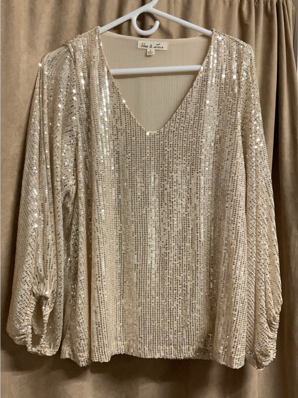 Vine & Love Champagne Sequin V-Neck Blouse